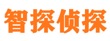 新龙市私家侦探